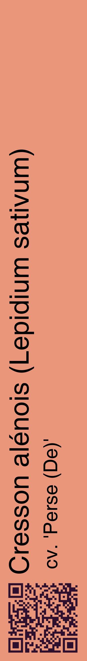 Étiquette de : Lepidium sativum cv. 'Perse (De)' - format c - style noire37_basiquehel avec qrcode et comestibilité