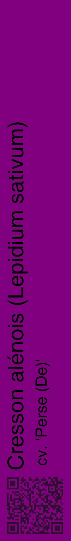Étiquette de : Lepidium sativum cv. 'Perse (De)' - format c - style noire46_basiquehel avec qrcode et comestibilité