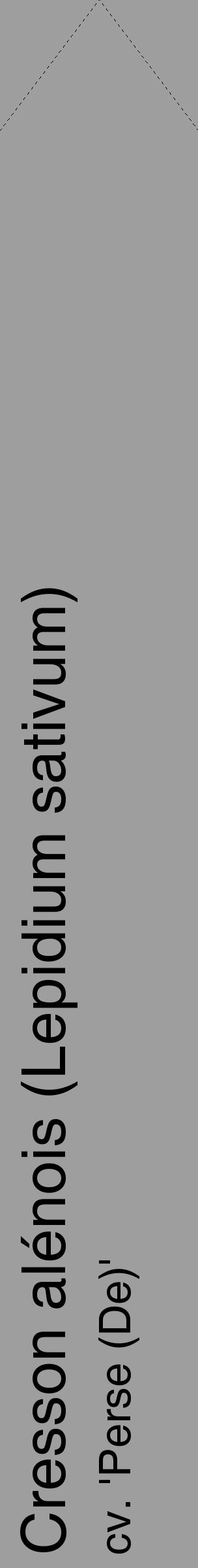 Étiquette de : Lepidium sativum cv. 'Perse (De)' - format c - style noire23_simple_simplehel avec comestibilité - position verticale