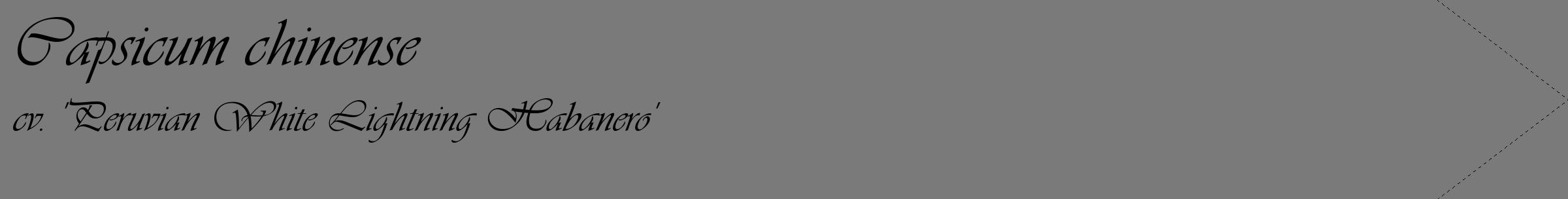 Étiquette de : Capsicum chinense cv. 'Peruvian White Lightning Habanero' - format c - style noire3_simple_simpleviv avec comestibilité