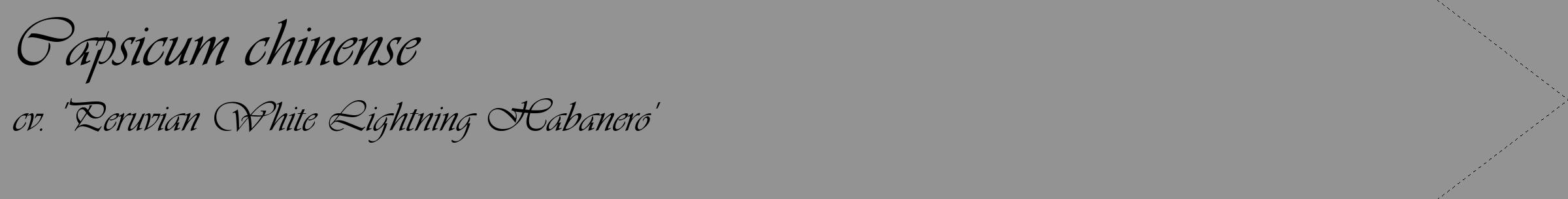 Étiquette de : Capsicum chinense cv. 'Peruvian White Lightning Habanero' - format c - style noire44_simple_simpleviv avec comestibilité