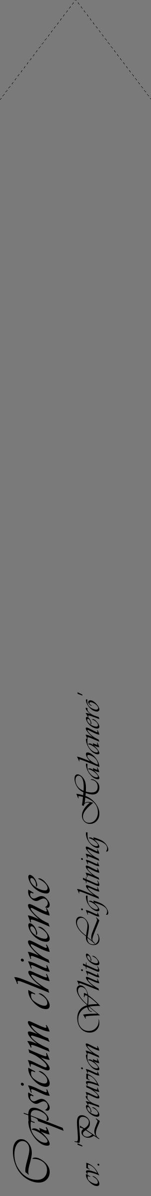 Étiquette de : Capsicum chinense cv. 'Peruvian White Lightning Habanero' - format c - style noire3_simple_simpleviv avec comestibilité - position verticale