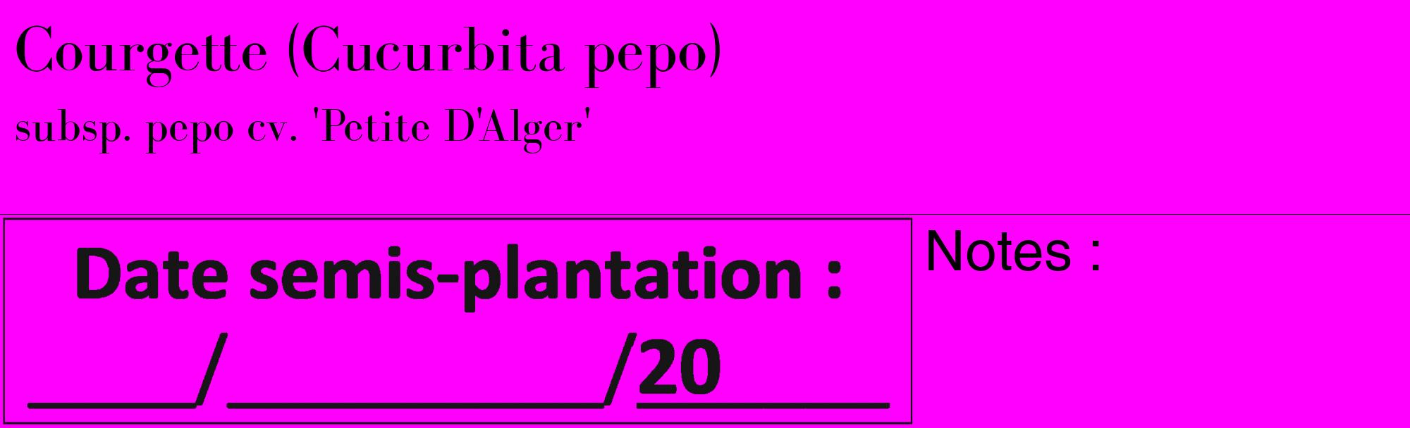 Étiquette de : Cucurbita pepo subsp. pepo cv. 'Petite D'Alger' - format c - style noire51_basique_basiquebod avec comestibilité