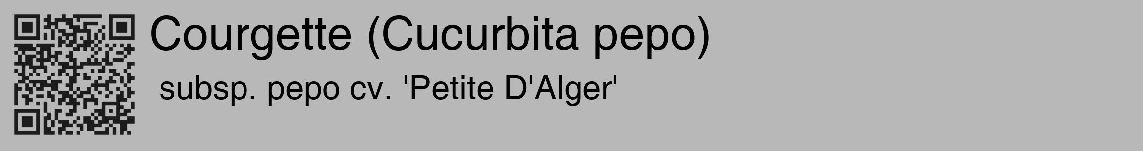 Étiquette de : Cucurbita pepo subsp. pepo cv. 'Petite D'Alger' - format c - style noire39_basique_basiquehel avec qrcode et comestibilité