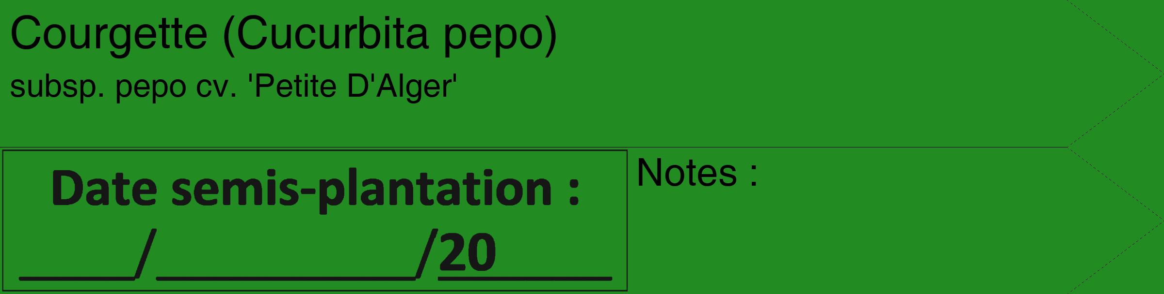 Étiquette de : Cucurbita pepo subsp. pepo cv. 'Petite D'Alger' - format c - style noire10_simple_simplehel avec comestibilité