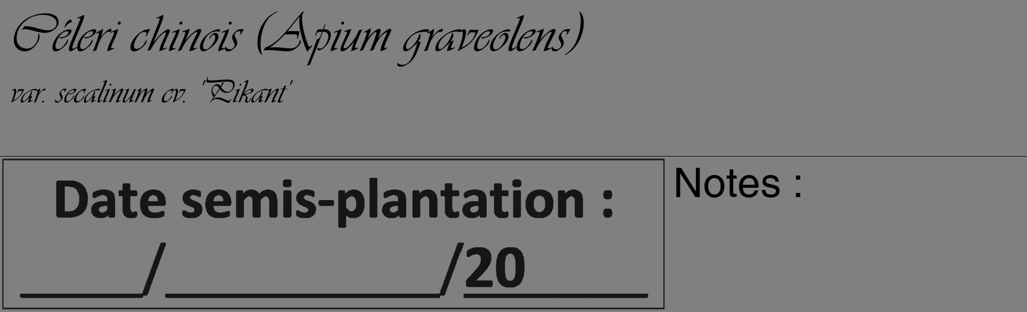 Étiquette de : Apium graveolens var. secalinum cv. 'Pikant' - format c - style noire57_basique_basiqueviv avec comestibilité