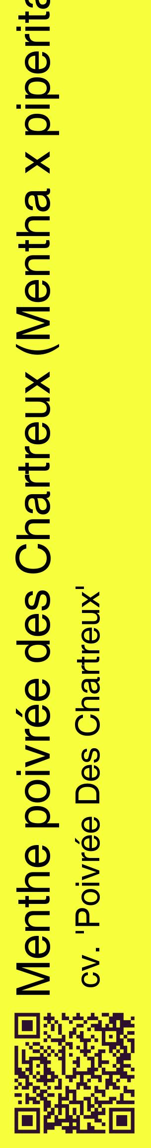 Étiquette de : Mentha x piperita cv. 'Poivrée Des Chartreux' - format c - style noire18_basiquehel avec qrcode et comestibilité