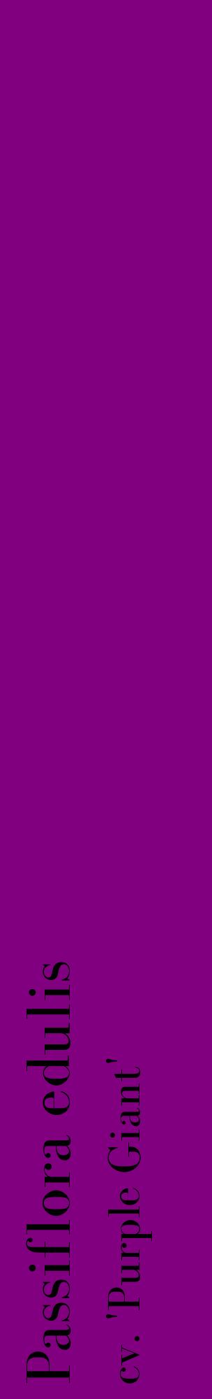 Étiquette de : Passiflora edulis cv. 'Purple Giant' - format c - style noire46_basiquebod avec comestibilité