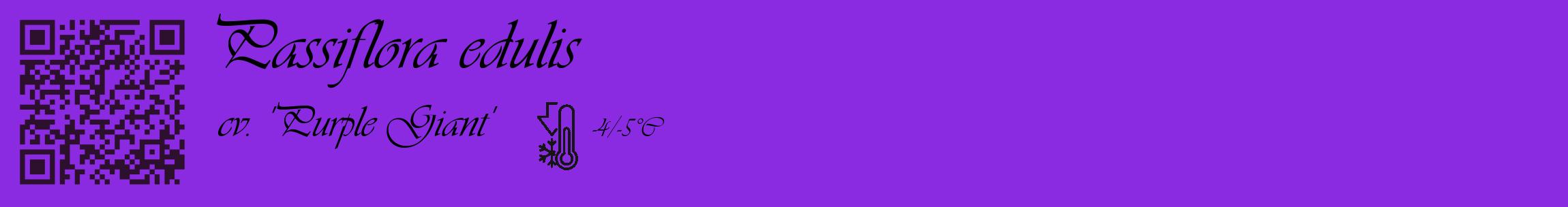 Étiquette de : Passiflora edulis cv. 'Purple Giant' - format c - style noire49_basique_basiqueviv avec qrcode et comestibilité
