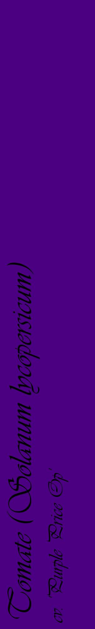 Étiquette de : Solanum lycopersicum cv. 'Purple Price Op' - format c - style noire47_basiqueviv avec comestibilité