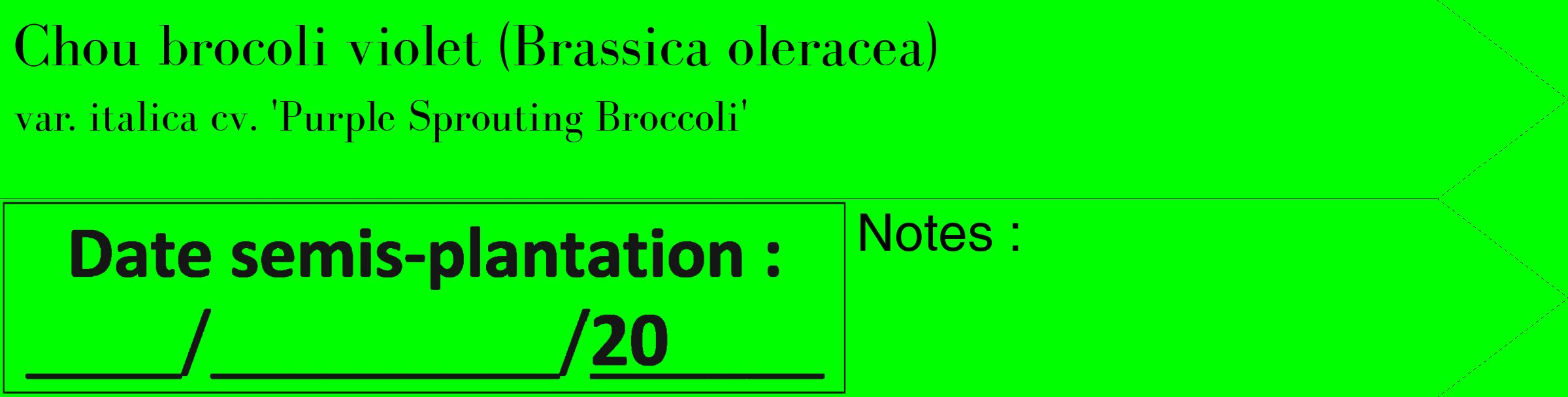 Étiquette de : Brassica oleracea var. italica cv. 'Purple Sprouting Broccoli' - format c - style noire16_simple_simplebod avec comestibilité