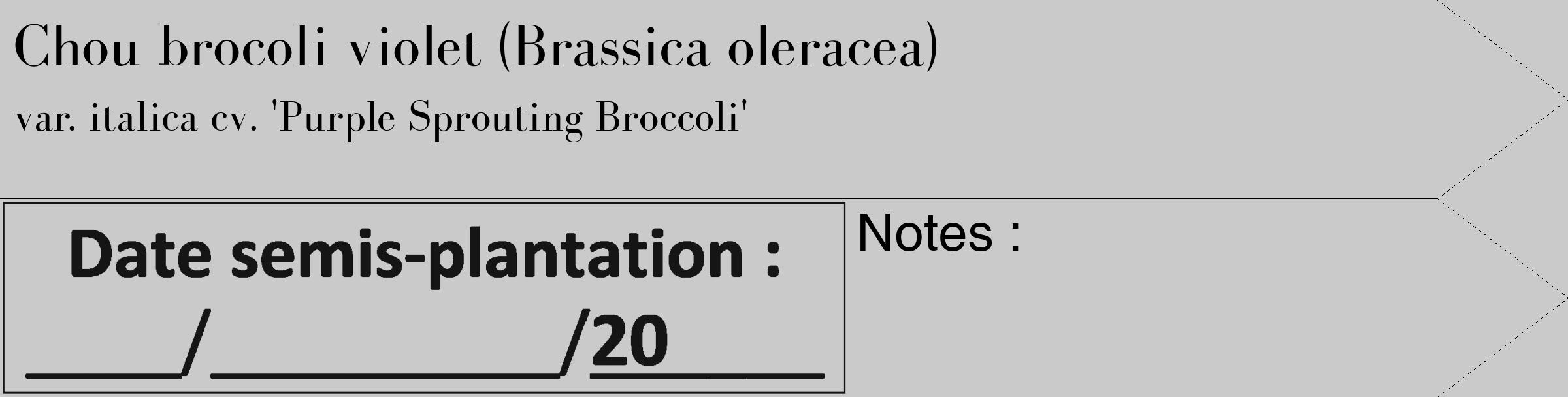 Étiquette de : Brassica oleracea var. italica cv. 'Purple Sprouting Broccoli' - format c - style noire21_simple_simplebod avec comestibilité
