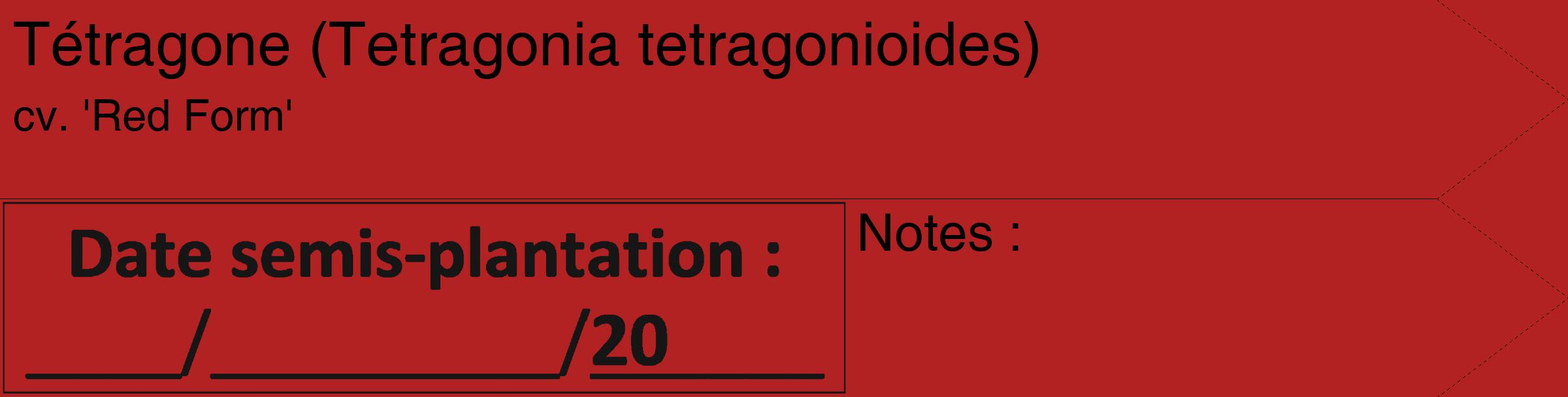 Étiquette de : Tetragonia tetragonioides cv. 'Red Form' - format c - style noire28_simple_simplehel avec comestibilité