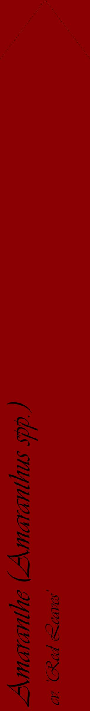 Étiquette de : Amaranthus spp. cv. 'Red Leaves' - format c - style noire34_simpleviv avec comestibilité