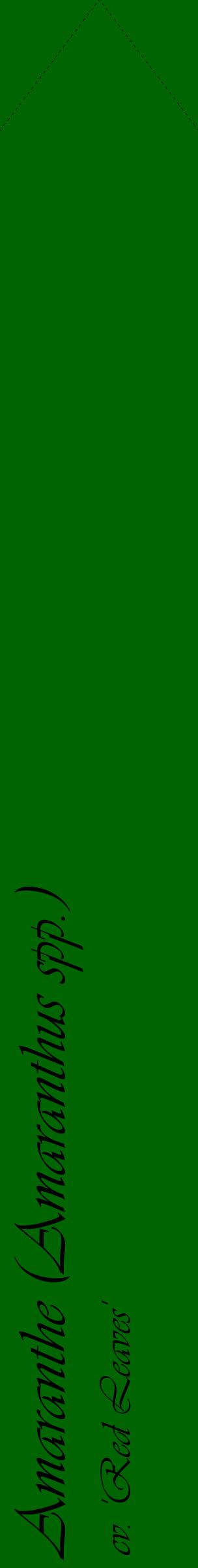 Étiquette de : Amaranthus spp. cv. 'Red Leaves' - format c - style noire8_simpleviv avec comestibilité