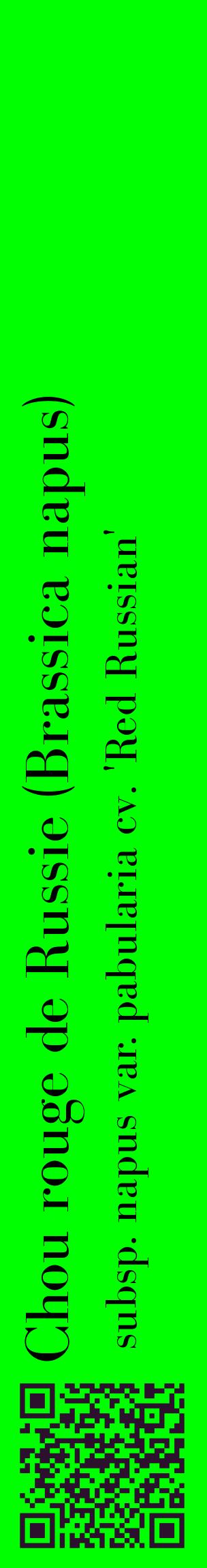 Étiquette de : Brassica napus subsp. napus var. pabularia cv. 'Red Russian' - format c - style noire16_basiquebod avec qrcode et comestibilité