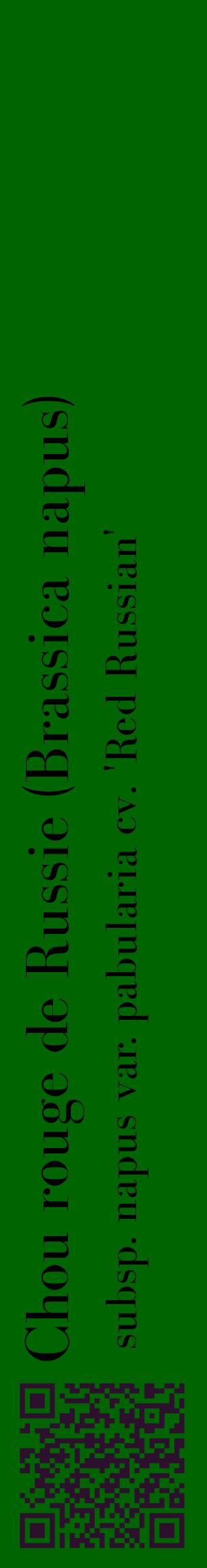 Étiquette de : Brassica napus subsp. napus var. pabularia cv. 'Red Russian' - format c - style noire8_basiquebod avec qrcode et comestibilité