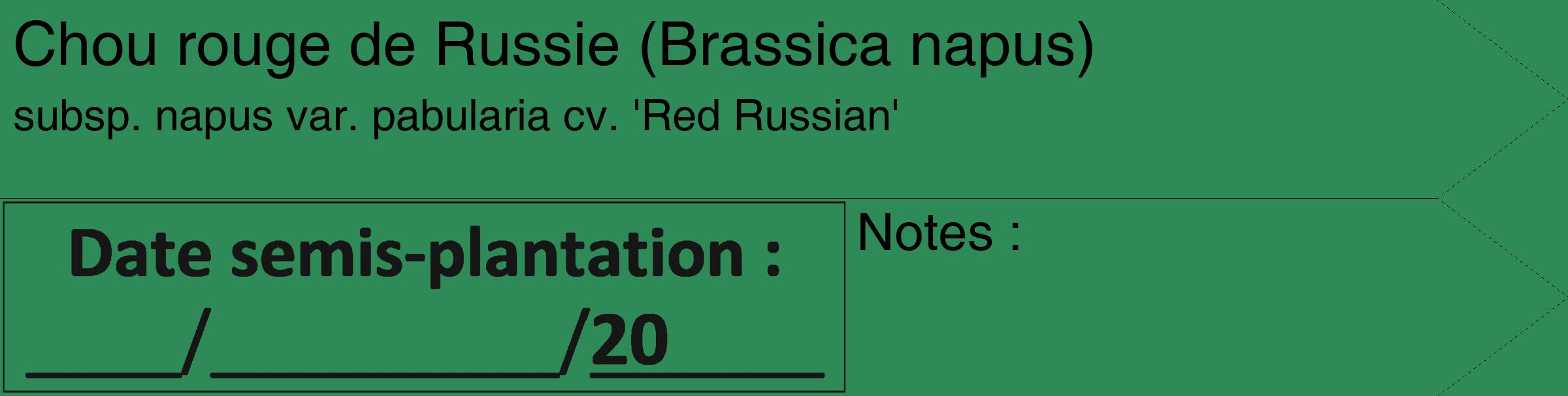 Étiquette de : Brassica napus subsp. napus var. pabularia cv. 'Red Russian' - format c - style noire11_simple_simplehel avec comestibilité