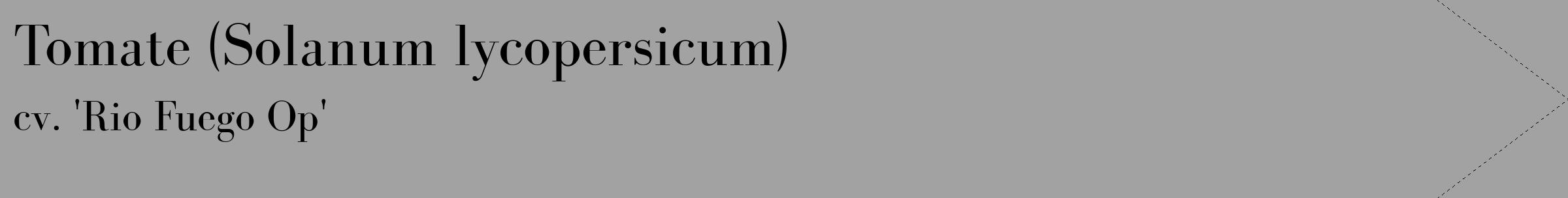 Étiquette de : Solanum lycopersicum cv. 'Rio Fuego Op' - format c - style noire38_simple_simplebod avec comestibilité
