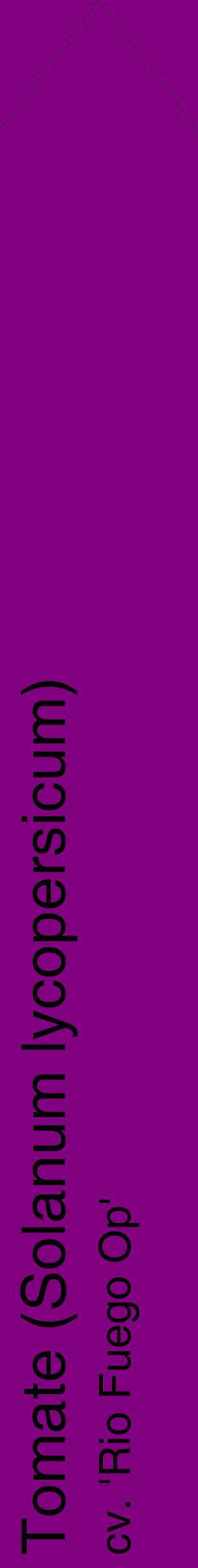 Étiquette de : Solanum lycopersicum cv. 'Rio Fuego Op' - format c - style noire46_simplehel avec comestibilité