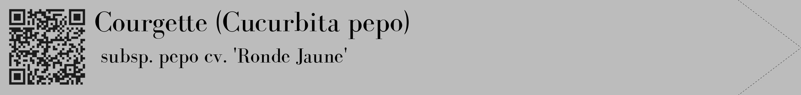 Étiquette de : Cucurbita pepo subsp. pepo cv. 'Ronde Jaune' - format c - style noire1_simple_simplebod avec qrcode et comestibilité