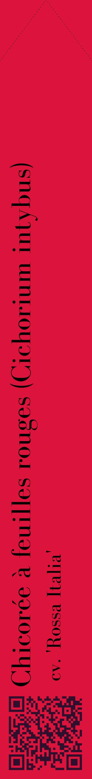 Étiquette de : Cichorium intybus cv. 'Rossa Italia' - format c - style noire36_simplebod avec qrcode et comestibilité