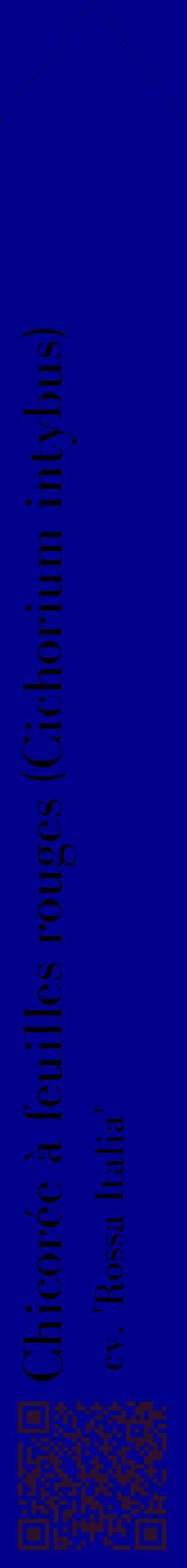 Étiquette de : Cichorium intybus cv. 'Rossa Italia' - format c - style noire7_simplebod avec qrcode et comestibilité