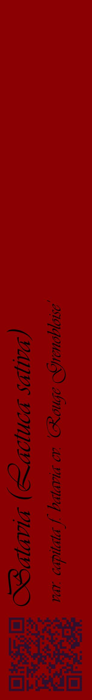 Étiquette de : Lactuca sativa var. capitata f. batavia cv. 'Rouge Grenobloise' - format c - style noire34_basiqueviv avec qrcode et comestibilité