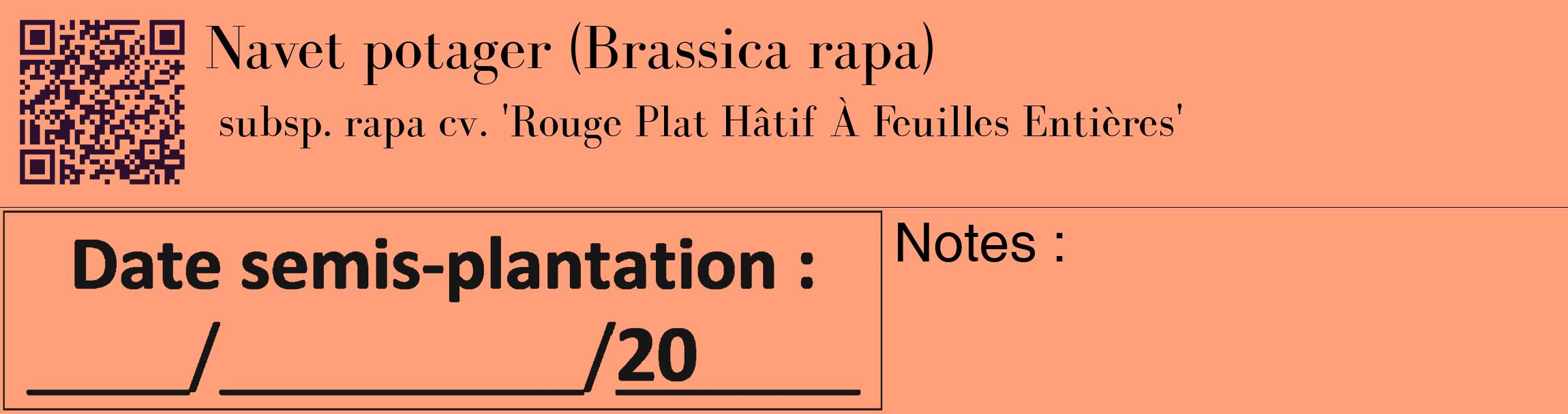 Étiquette de : Brassica rapa subsp. rapa cv. 'Rouge Plat Hâtif À Feuilles Entières' - format c - style noire39_basique_basiquebod avec qrcode et comestibilité