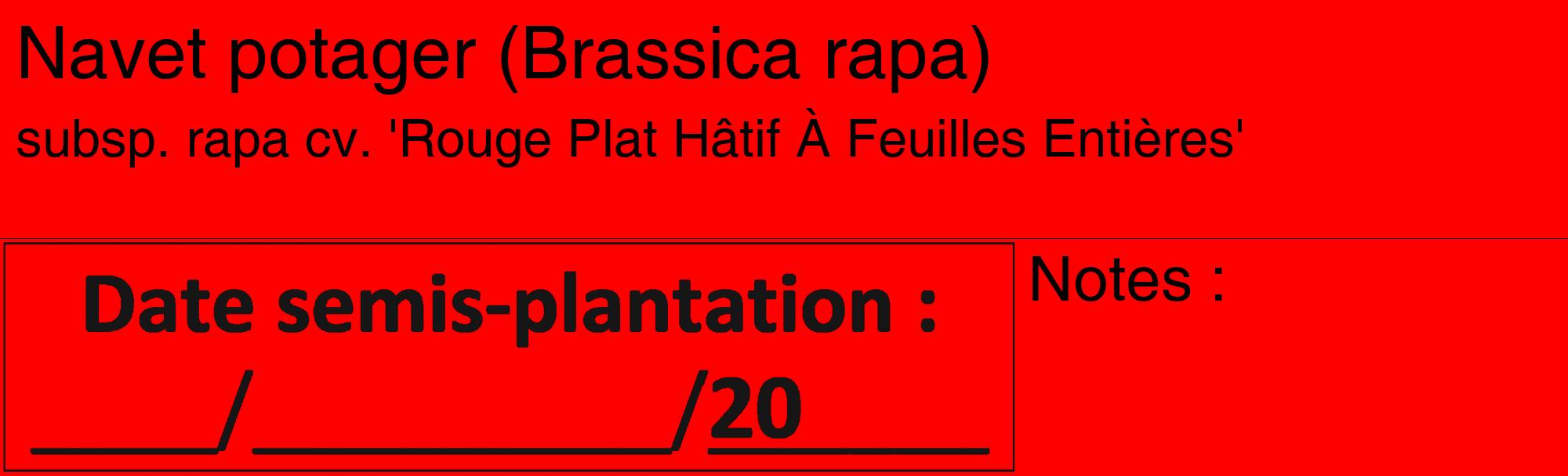 Étiquette de : Brassica rapa subsp. rapa cv. 'Rouge Plat Hâtif À Feuilles Entières' - format c - style noire27_basique_basiquehel avec comestibilité
