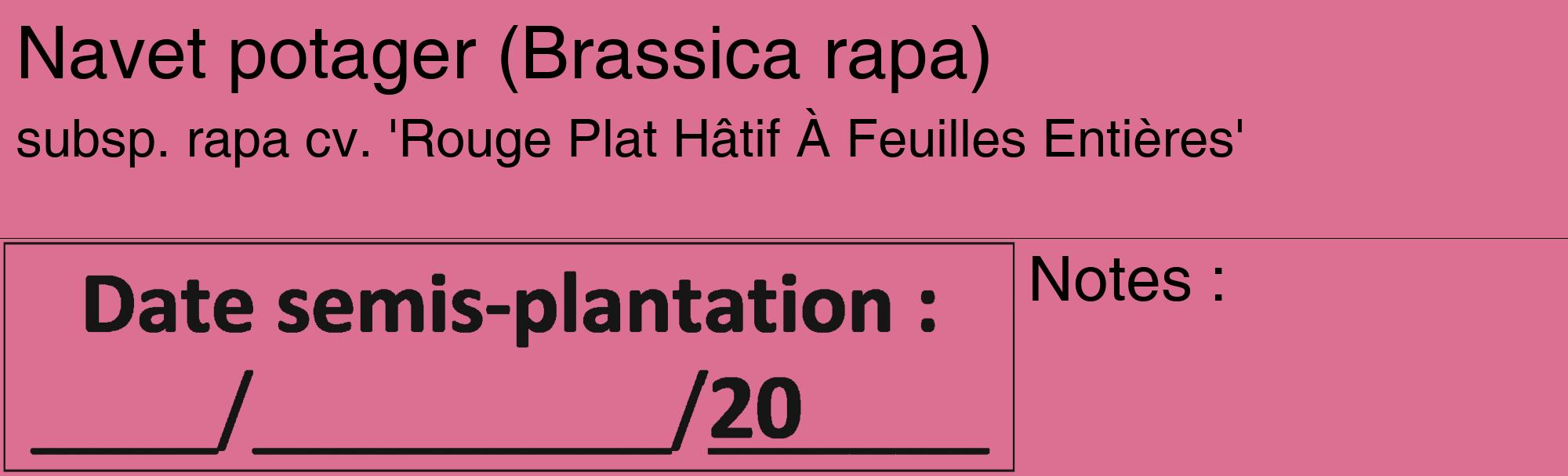 Étiquette de : Brassica rapa subsp. rapa cv. 'Rouge Plat Hâtif À Feuilles Entières' - format c - style noire44_basique_basiquehel avec comestibilité