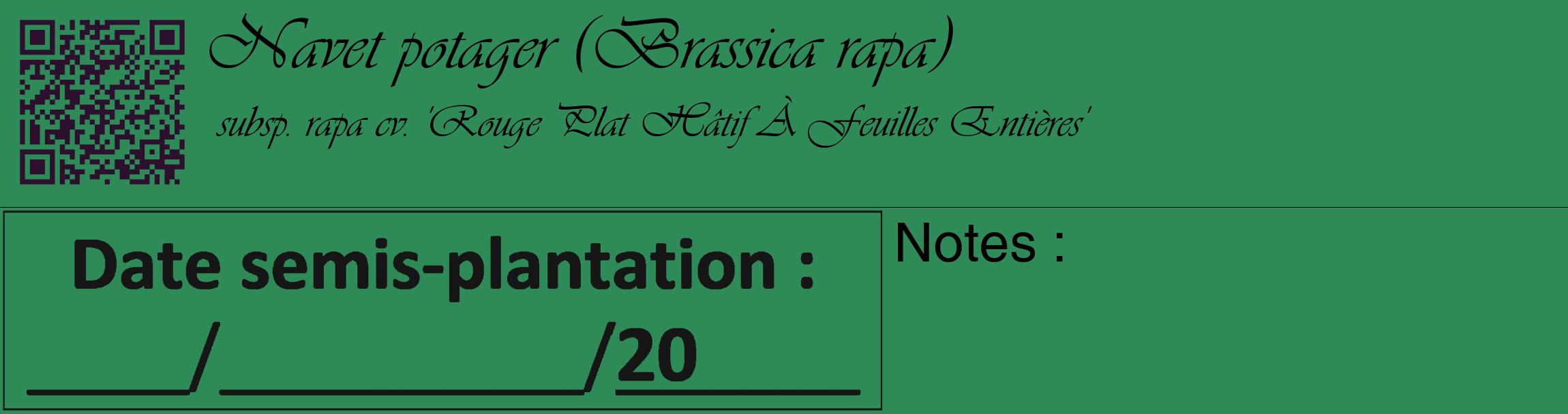 Étiquette de : Brassica rapa subsp. rapa cv. 'Rouge Plat Hâtif À Feuilles Entières' - format c - style noire11_basique_basiqueviv avec qrcode et comestibilité