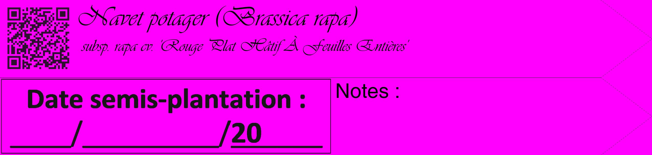 Étiquette de : Brassica rapa subsp. rapa cv. 'Rouge Plat Hâtif À Feuilles Entières' - format c - style noire51_simple_simpleviv avec qrcode et comestibilité