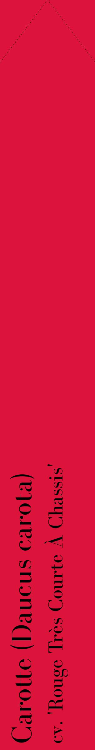 Étiquette de : Daucus carota cv. 'Rouge Très Courte À Chassis' - format c - style noire36_simplebod avec comestibilité