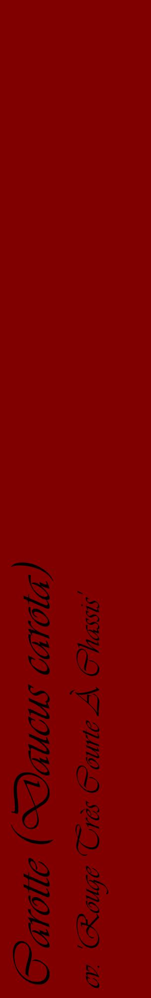 Étiquette de : Daucus carota cv. 'Rouge Très Courte À Chassis' - format c - style noire29_basiqueviv avec comestibilité