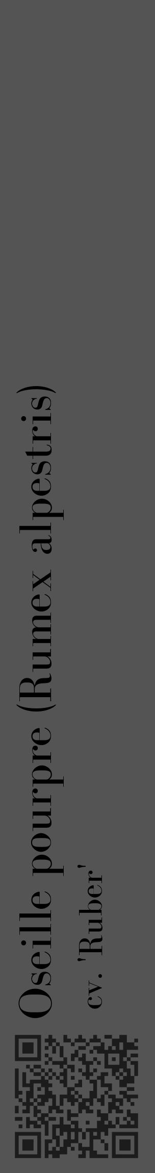 Étiquette de : Rumex alpestris cv. 'Ruber' - format c - style noire36_basique_basiquebod avec qrcode et comestibilité - position verticale