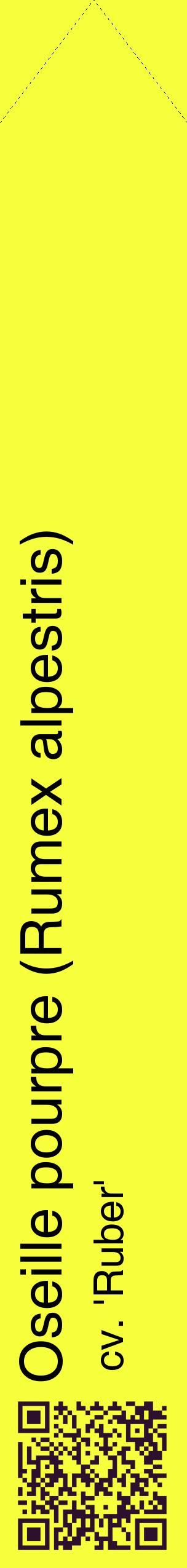 Étiquette de : Rumex alpestris cv. 'Ruber' - format c - style noire18_simplehel avec qrcode et comestibilité