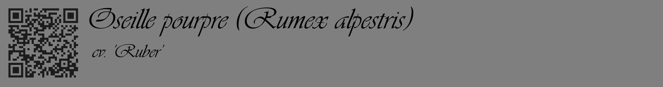 Étiquette de : Rumex alpestris cv. 'Ruber' - format c - style noire31_basique_basiqueviv avec qrcode et comestibilité