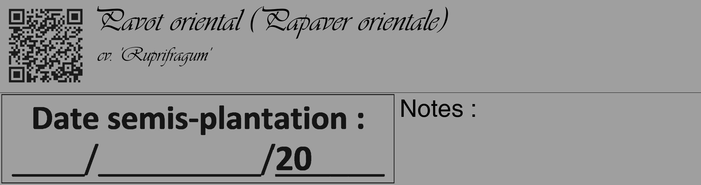 Étiquette de : Papaver orientale cv. 'Ruprifragum' - format c - style noire24_basique_basiqueviv avec qrcode et comestibilité