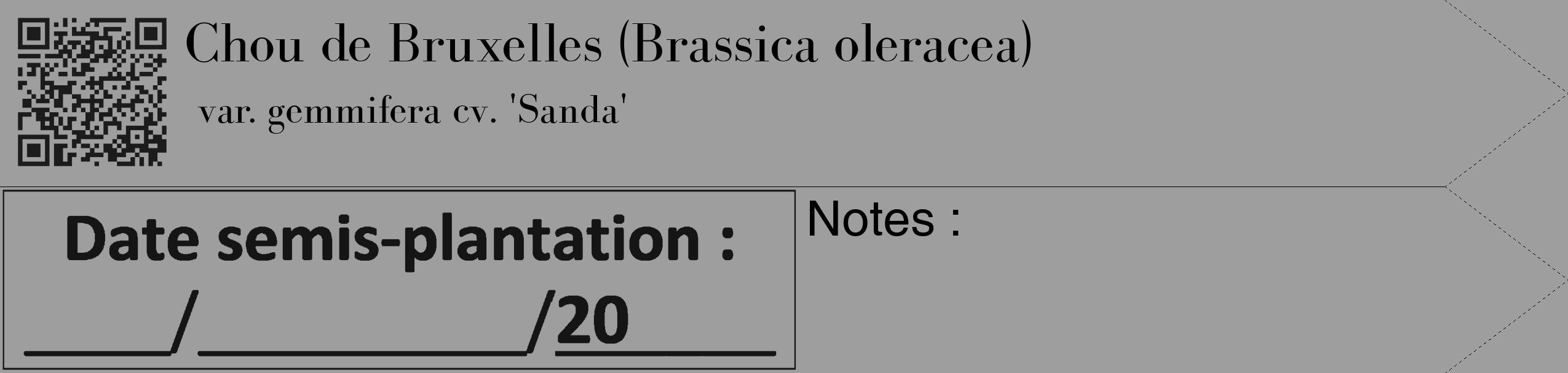Étiquette de : Brassica oleracea var. gemmifera cv. 'Sanda' - format c - style noire42_simple_simplebod avec qrcode et comestibilité