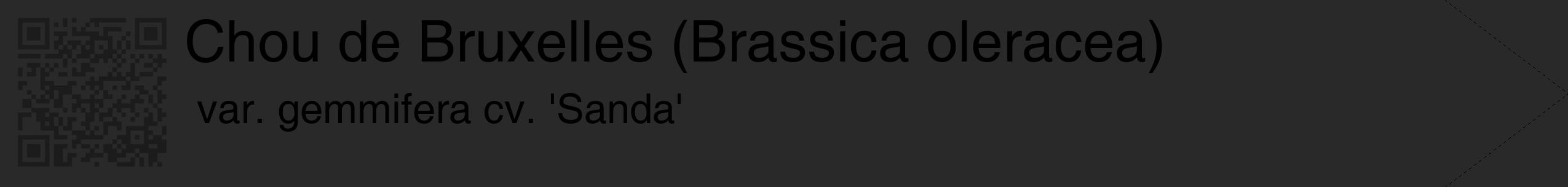Étiquette de : Brassica oleracea var. gemmifera cv. 'Sanda' - format c - style noire34_simple_simplehel avec qrcode et comestibilité