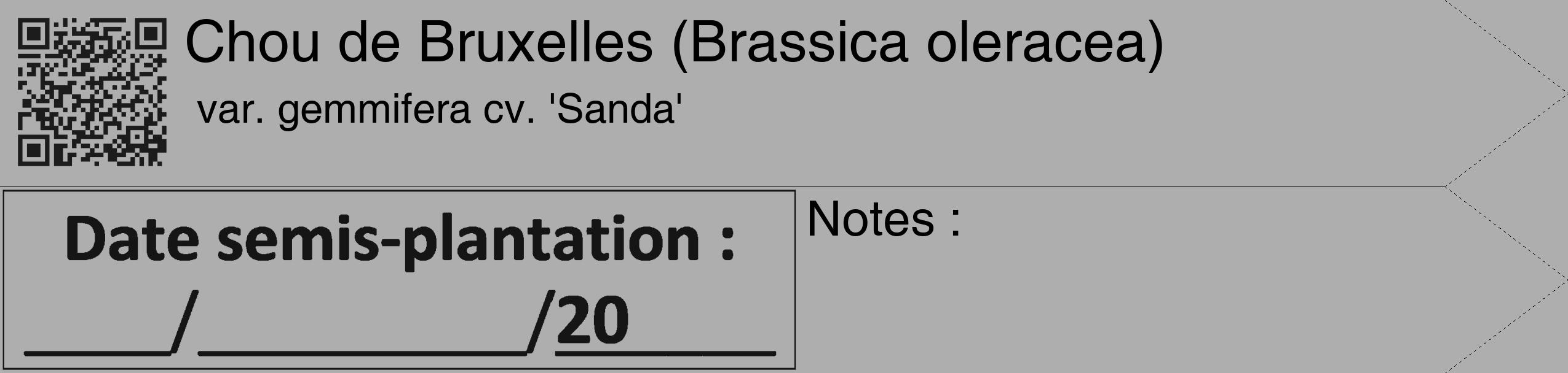 Étiquette de : Brassica oleracea var. gemmifera cv. 'Sanda' - format c - style noire53_simple_simplehel avec qrcode et comestibilité