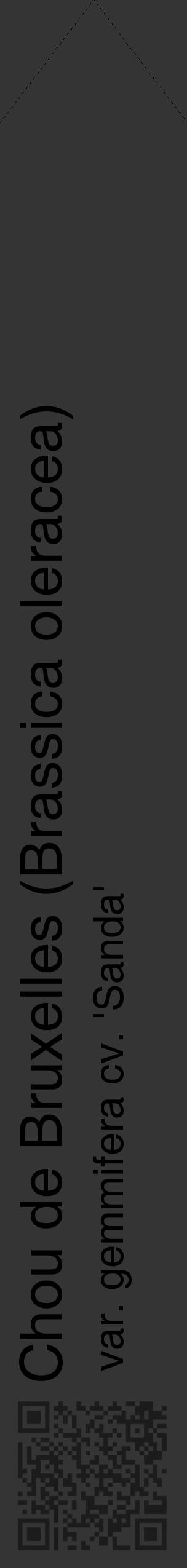 Étiquette de : Brassica oleracea var. gemmifera cv. 'Sanda' - format c - style noire46_simple_simplehel avec qrcode et comestibilité - position verticale