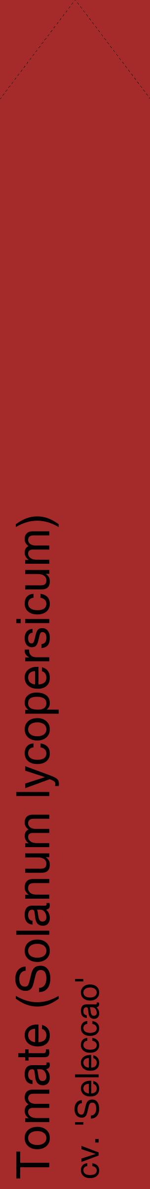 Étiquette de : Solanum lycopersicum cv. 'Seleccao' - format c - style noire33_simplehel avec comestibilité