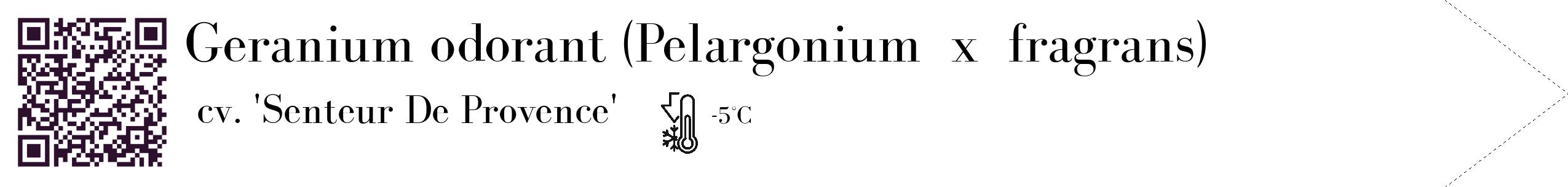 Étiquette de : Pelargonium x fragrans cv. 'Senteur De Provence' - format c - style noire60_simple_simplebod avec qrcode et comestibilité