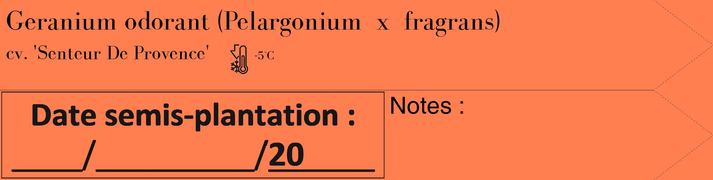 Étiquette de : Pelargonium x fragrans cv. 'Senteur De Provence' - format c - style noire24_simple_simplebod avec comestibilité