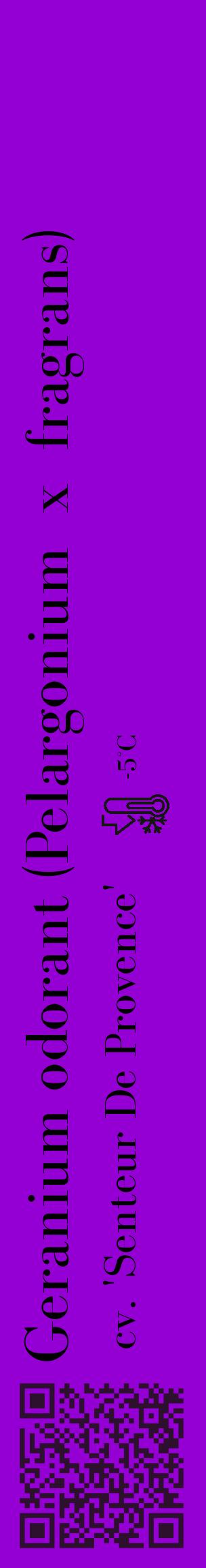 Étiquette de : Pelargonium x fragrans cv. 'Senteur De Provence' - format c - style noire48_basique_basiquebod avec qrcode et comestibilité - position verticale