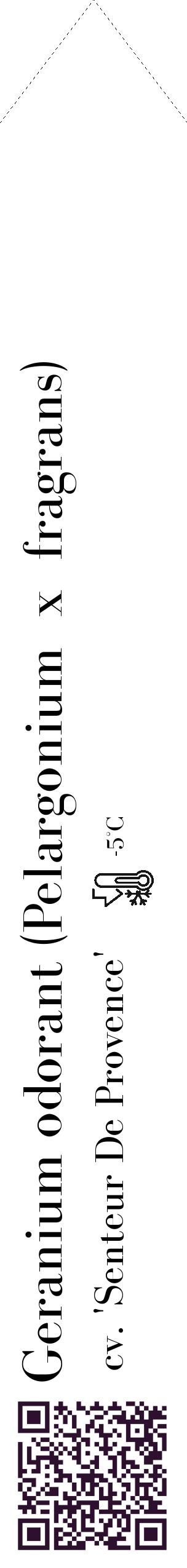 Étiquette de : Pelargonium x fragrans cv. 'Senteur De Provence' - format c - style noire60_simple_simplebod avec qrcode et comestibilité - position verticale