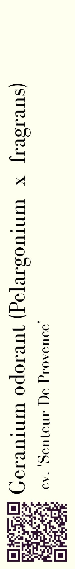 Étiquette de : Pelargonium x fragrans cv. 'Senteur De Provence' - format c - style noire19_basiquebod avec qrcode et comestibilité