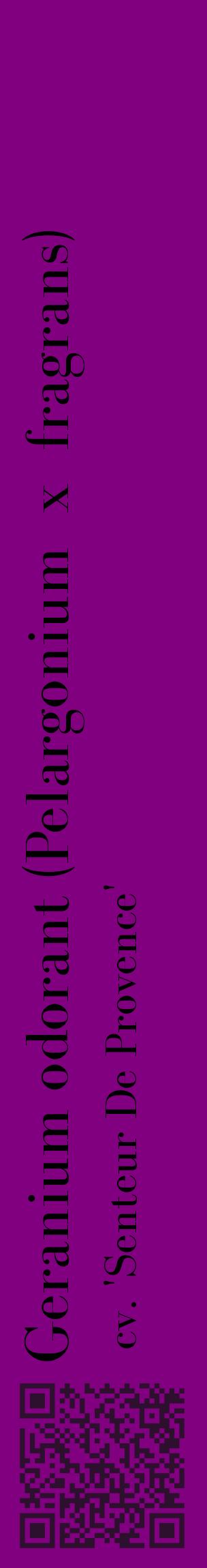 Étiquette de : Pelargonium x fragrans cv. 'Senteur De Provence' - format c - style noire46_basiquebod avec qrcode et comestibilité